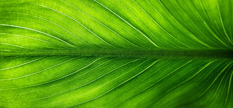 Eco-friendly Cooking Tips